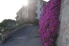  La Rabina Imperia - 