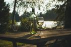 (31) Ferienhaus am See mit eingezäuntem Grundstück und Boot Smaland - 