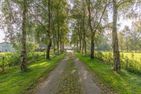  Sophie Witzwort - 