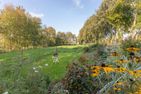  Sophie Witzwort - 
