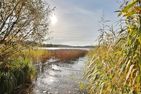  Alte Meierei Pönitz am See - Landschaft