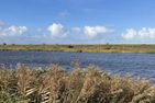  Lieblingsplatz am Siel Greetsiel/Krummhörn - Landschaft