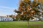 Prinzenhof "Lieblingsplatz" App. 27 inkl. WLAN Grömitz - Hauptansicht