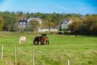 Haus Frauenpreiss F211 Cuxhaven Sahlenburg - 