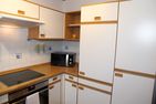  Seerobbe Norden/Norddeich - 