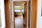  Seerobbe Norden/Norddeich - 