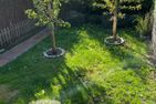  Schaumis Hüs Tinnum - Gartenblick