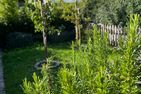  Schaumis Hüs Tinnum - Gartenblick