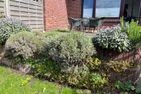  Schaumis Hüs Tinnum - Gartenblick