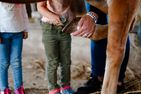 Ponywoche Ponywoche Schmallenberg - 