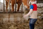 Ponywoche Ponywoche Schmallenberg - 
