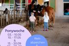 Ponywoche Ponywoche Schmallenberg - 