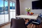 Smart Resorts Haus Smaragd Ferienwohnung 903 Winterberg - -img.tag.livingroom-