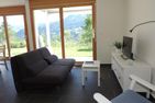  Alpenrose (295 Av) Brienz/Brinzauls (Vazerol) - 