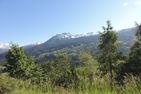  Alpenrose (295 Av) Brienz/Brinzauls (Vazerol) - 