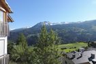  Alpenrose (295 Av) Brienz/Brinzauls (Vazerol) - 