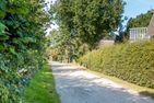  Kleine Rotbuche Ostseebad Ahrenshoop - Nachbarschaft