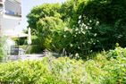  Haus Roseneck Wohnung 4 Norderney - Terrasse