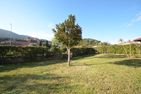  Casa Miriana Alassio - 