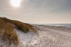  OstseeSchnäpel Ostseebad Dierhagen - 