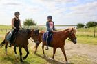 Nordsee Bauernhof Wulff Ferienwohnung Amrum Reußenköge - 