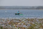 Seerose Sternberg/Warin - Landschaft