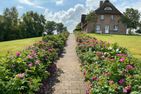  Admiralswarft Nordstrand - 