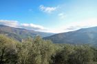  Villa Desideri Lucinasco - 