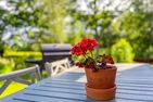  (28) Ferienhaus Lönneberga in Alleinlage mit Hund Smaland - 