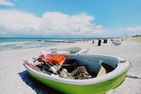  Fischerhus Ostseebad Ahrenshoop - Landschaft