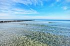 Sonnenblumenhaus Sonnenblumenhaus 02 Ostseebad Prerow - 
