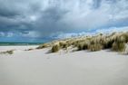 Sonnenblumenhaus Sonnenblumenhaus 01 Ostseebad Prerow - 