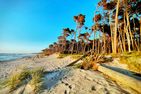 Sonnenblumenhaus Sonnenblumenhaus 01 Ostseebad Prerow - 