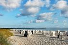 Sonnenblumenhaus Sonnenblumenhaus 01 Ostseebad Prerow - 
