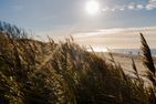  Marikens Deel Ostseebad Ahrenshoop - 