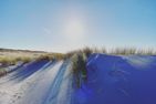 Mädesüß Mädesüß 02 Ostseebad Ahrenshoop - 