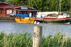 Ostseenixe Haus Ostseenixe 01 Ostseebad Wustrow - Sport / Aktivitäten