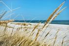  Prerowliebe Ostseebad Prerow - 