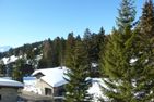  Damiez (171 Zi) Lenzerheide - 