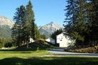  Gentiana (162 Li) Studio Lenzerheide - 