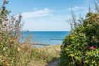  Fischerhus Ostseebad Ahrenshoop - Strand