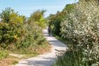  Fischerhus Ostseebad Ahrenshoop - Sport / Aktivitäten
