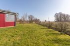  Schimmelreiter Simonsberg - 