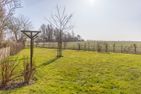 Schimmelreiter Simonsberg - 