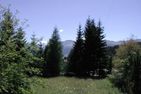  Voa Crestas 7 (715 He) Lenzerheide - 