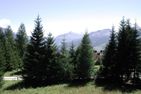  Voa Crestas 7 (715 He) Lenzerheide - 