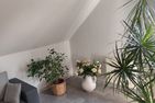  Brockenbahnblick Sachsen-Anhalt - 
