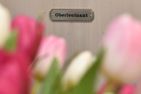  Oberleutnant im Haus Admiral  1 Stock links Westerland - 