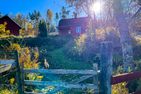  (45) Ferienhaus Ingelsbo in Alleinlage am See Smaland - 