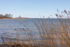  Ferienhaus vor Rügen Sundhagen - 